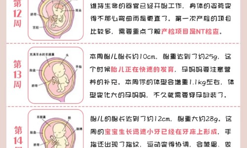 怀孕可以烤电火吗、孕妇能烤电火盆烘脚吗 -孕妇能用箱式取暖气烤火吗网