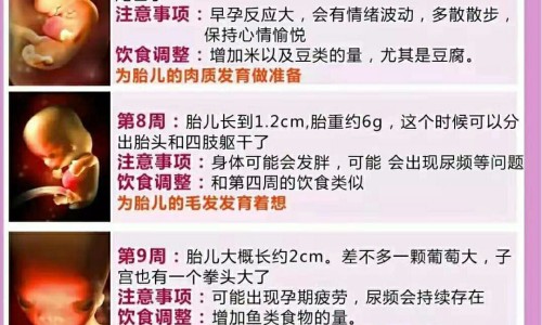 怀孕可以吃棒棒糖吗？怀孕吃什么比较好