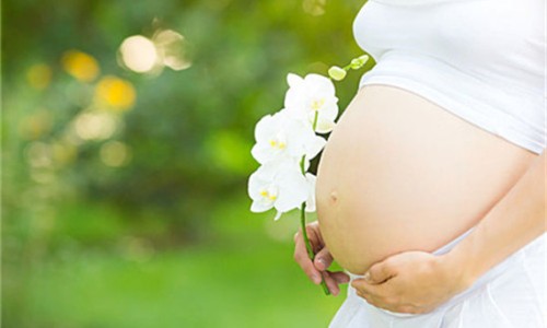 孕妇可以用烤箱吗-怀孕可以烤电火吗、孕妇能烤电火盆烘脚吗 -孕妇能用箱式取暖气烤火吗网